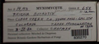 Image Associated With the Occurence